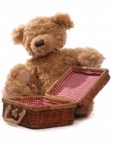 teddy bear picnic